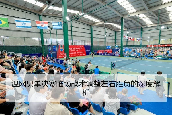 温网男单决赛临场战术调整左右胜负的深度解析